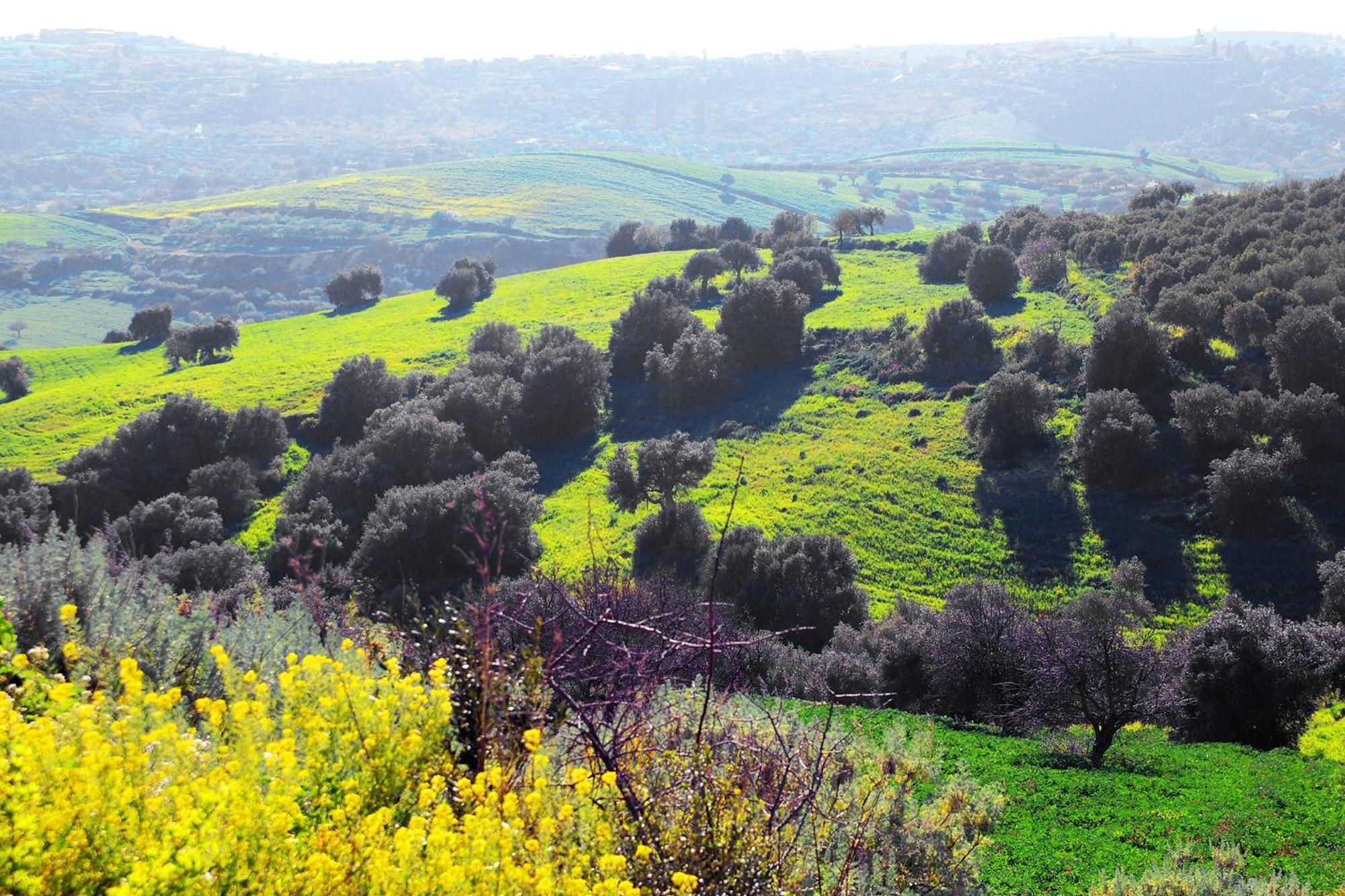 Agriturismo Giannavi Palazzolo Acreide Esterno foto